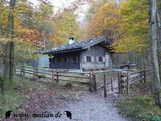 Eine Hütte im Wald